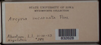 Image Associated With the Occurence